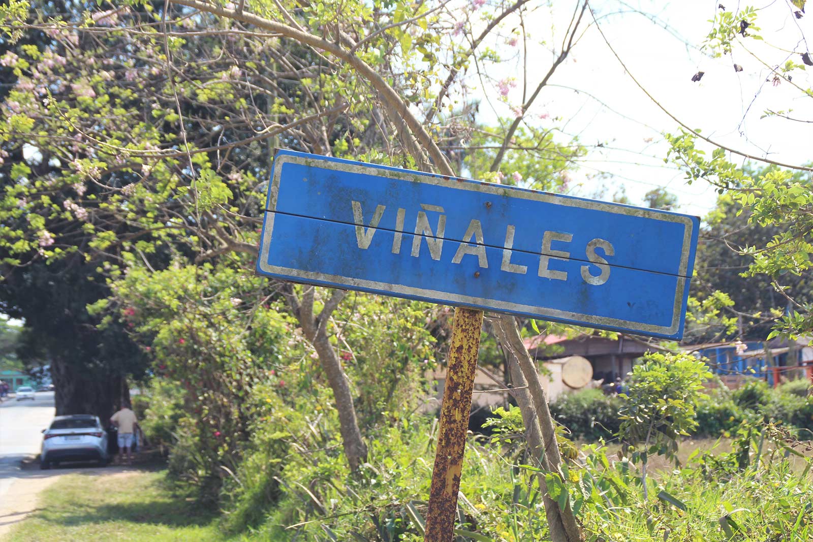 Cuba Vinales